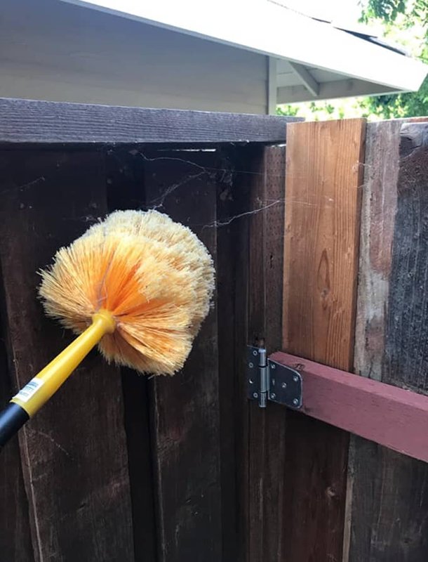 dusting pest treatment