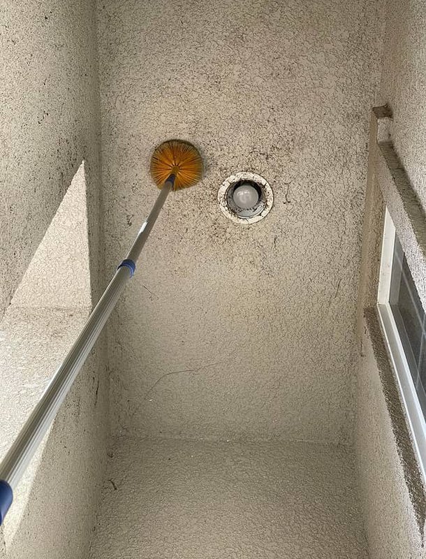 interior pest damage