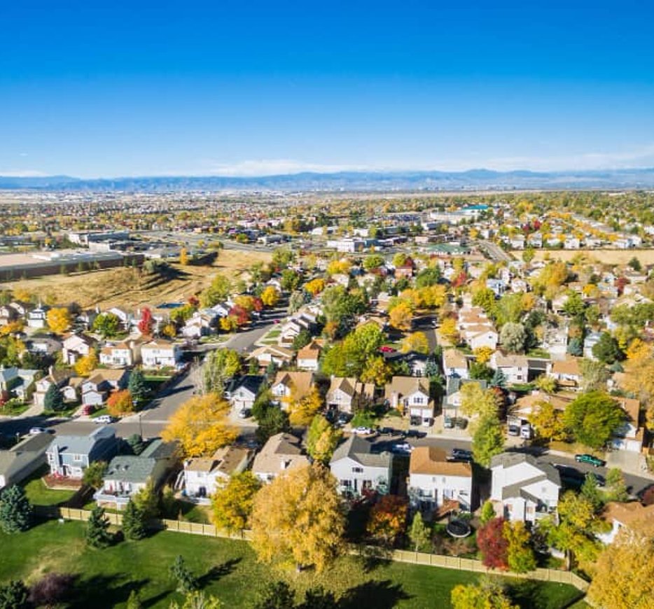 Bay Area pest control service